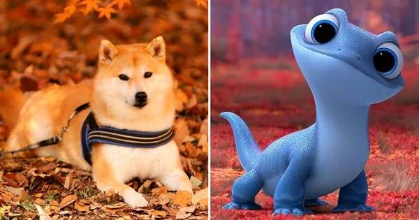 Pretend To Be A Dog For A Day And We'll Tell You Which Disney Animal You Are
